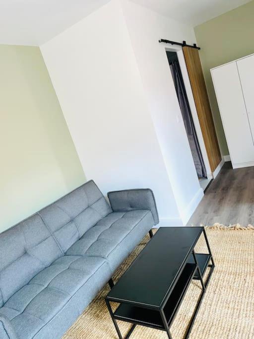 Ferienwohnung Studio Tout Equipe Au Calme Et Chaleureux Saint-Etienne  Exterior foto